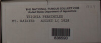 Image Associated With the Occurence
